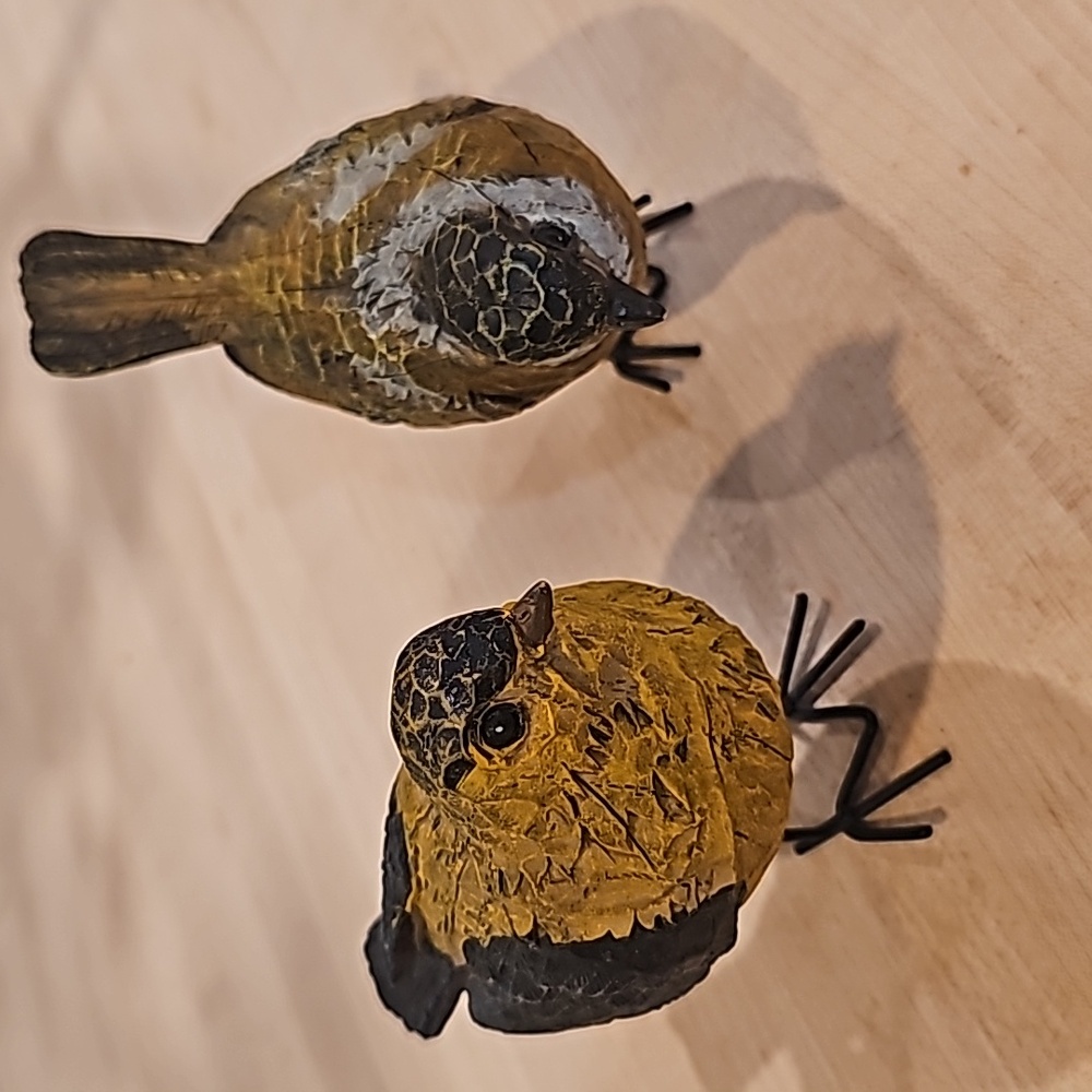 (2) tiny birds